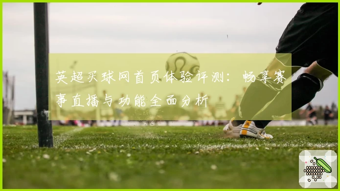 英超买球网首页体验评测：畅享赛事直播与功能全面分析